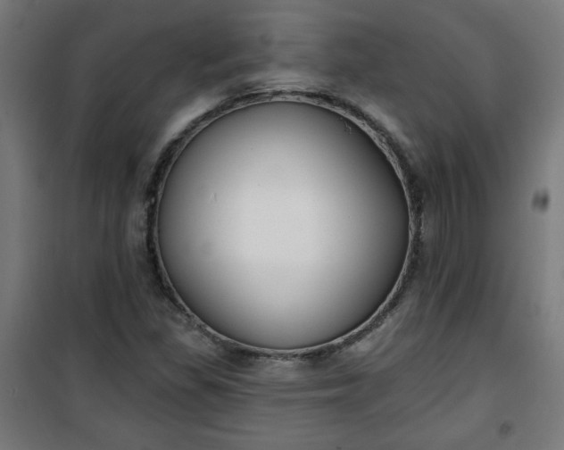 X0000100751309200807031326