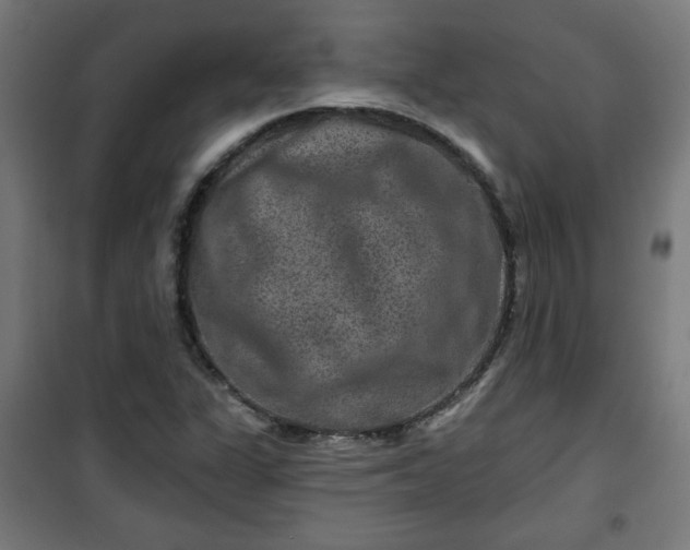 X0000100751311200807031326