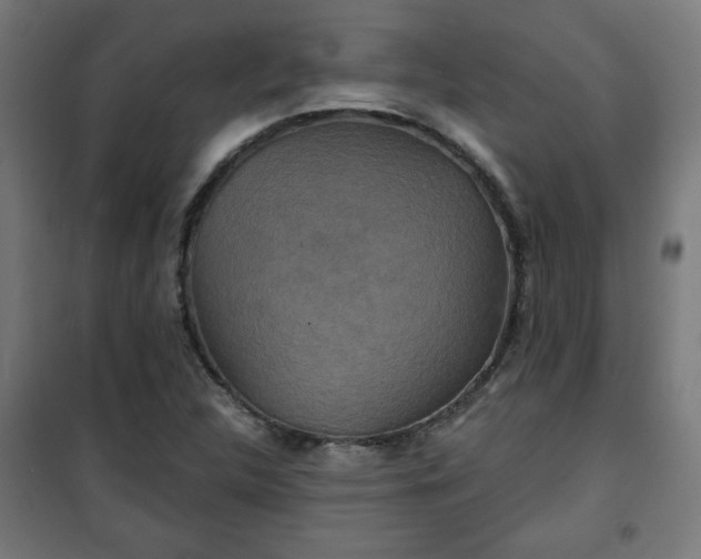 X0000100751312200807031326