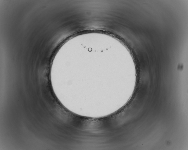 X0000100751314200807031327