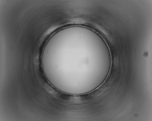 X0000100751315200807031327