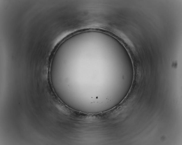 X0000100751316200807031327