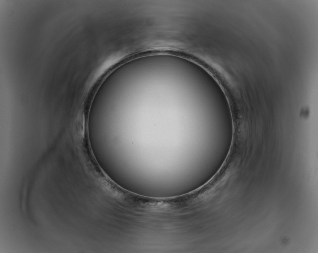 X0000100751317200807031327