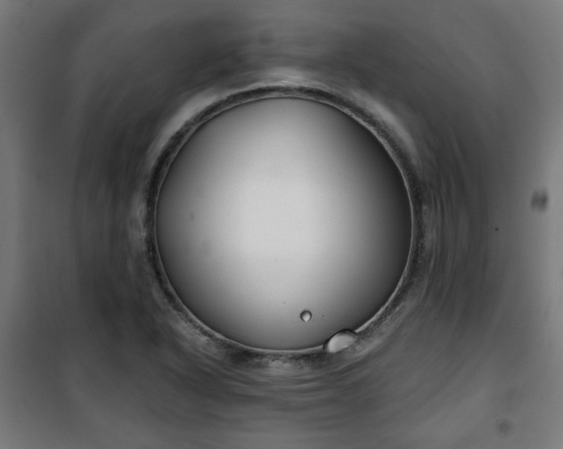 X0000100751318200807031327