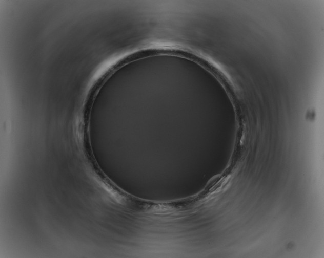 X0000100751319200807031327