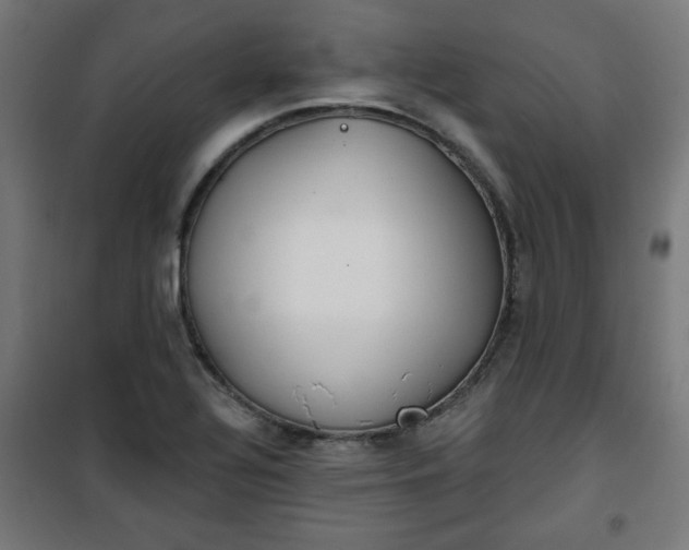 X0000100751320200807031327