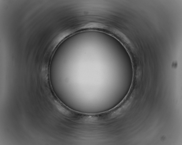 X0000100751321200807031327