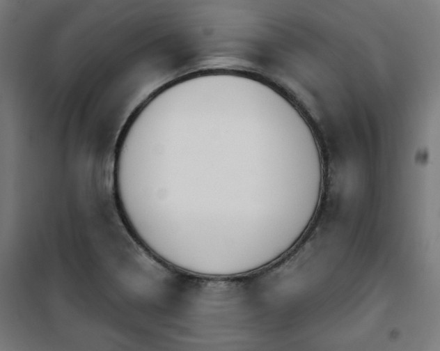 X0000100751322200807031327