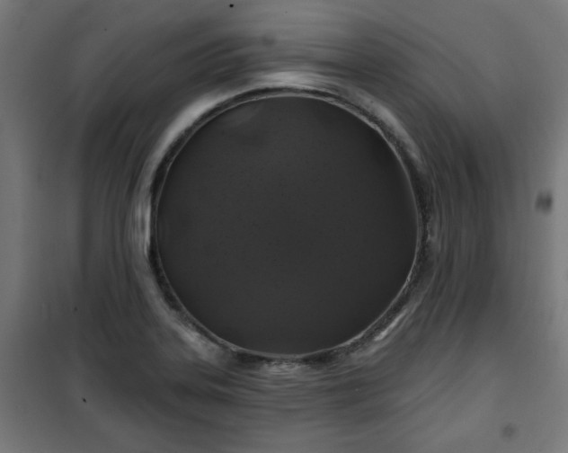 X0000100751323200807031327