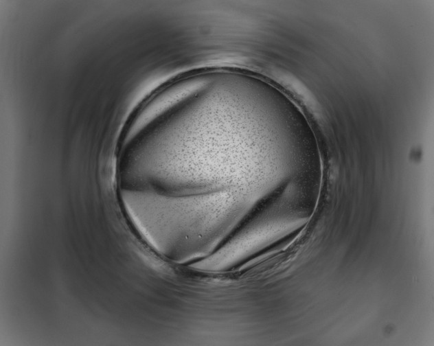 X0000100751324200807031327