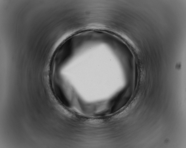 X0000100751325200807031327