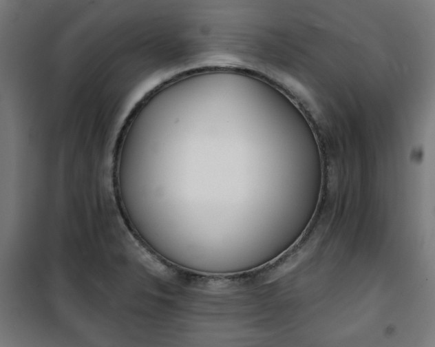 X0000100751326200807031327