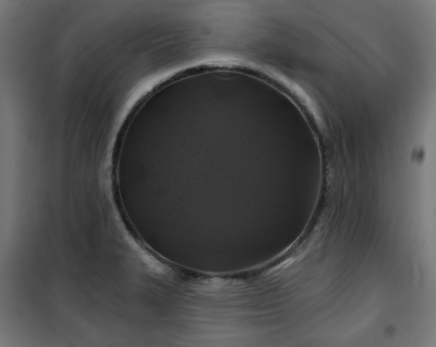 X0000100751327200807031327