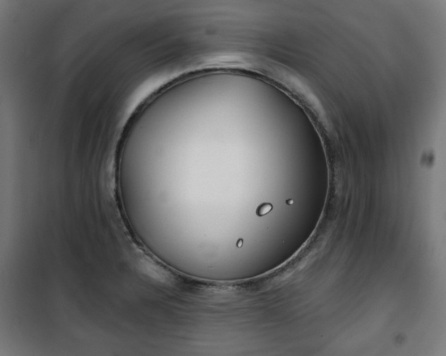 X0000100751328200807031327