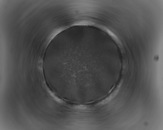 X0000100751329200807031327