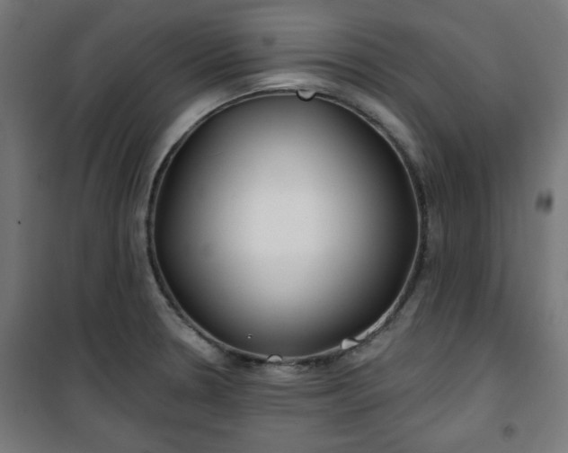 X0000100751330200807031327