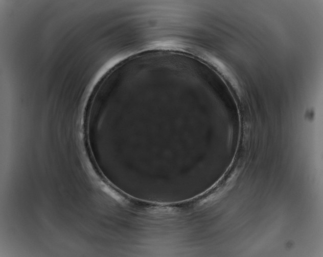 X0000100751331200807031327