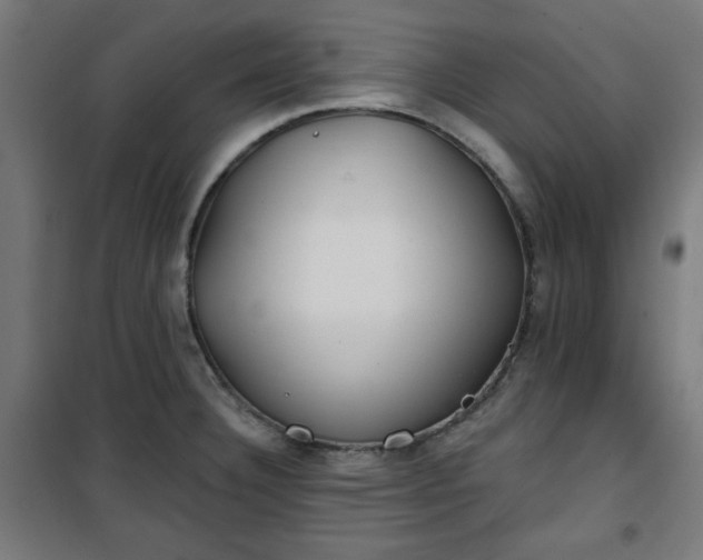 X0000100751332200807031327