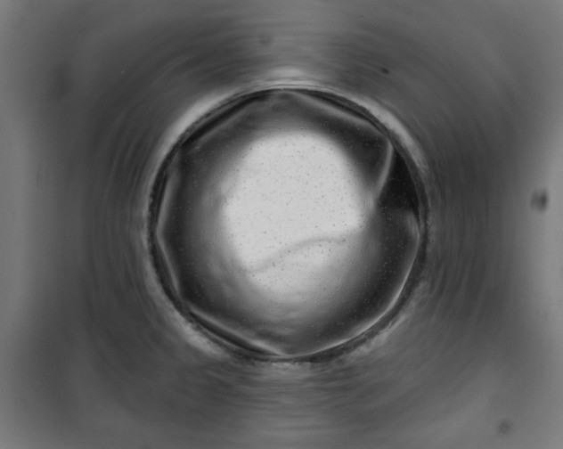 X0000100751333200807031327