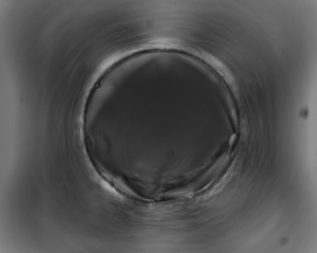 X0000100751334200807031327