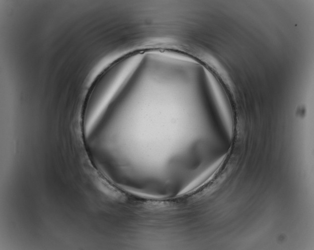 X0000100751336200807031327