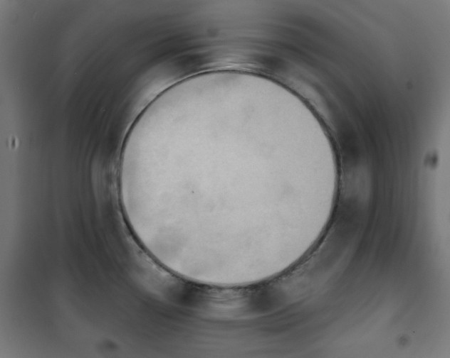 X0000100751338200807031327