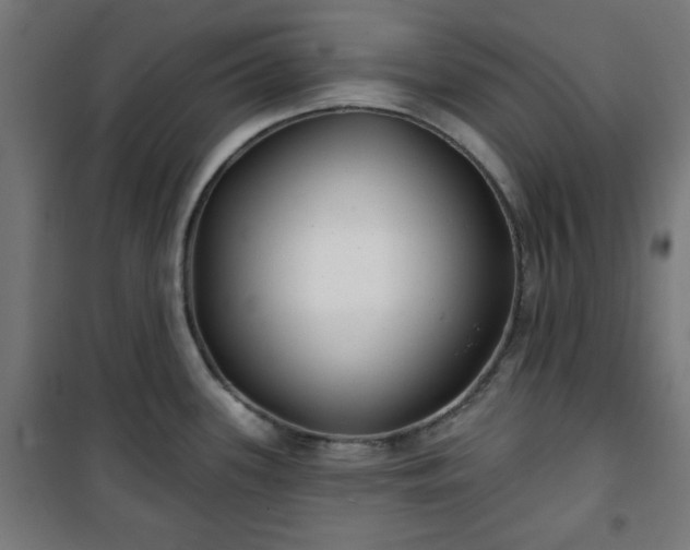 X0000100751339200807031327