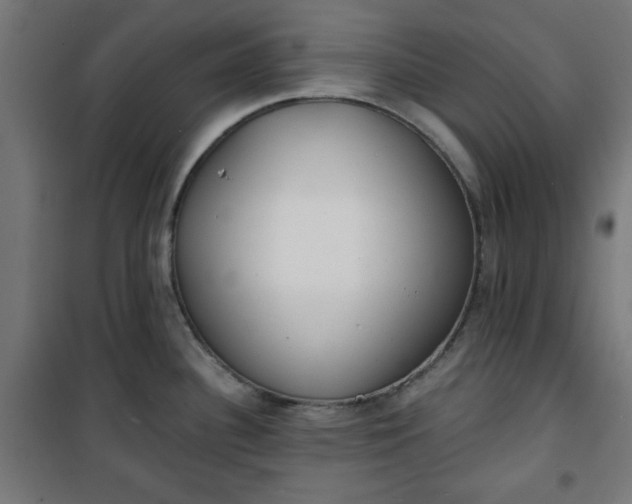 X0000100751340200807031327