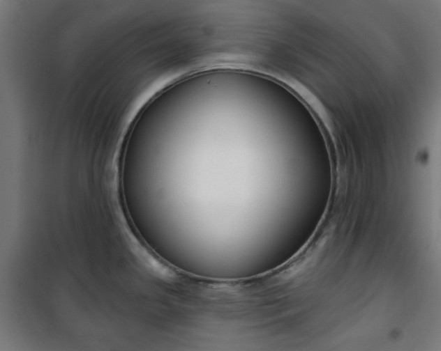 X0000100751341200807031327