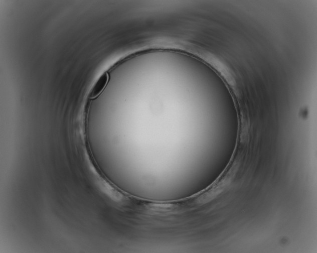 X0000100751342200807031327