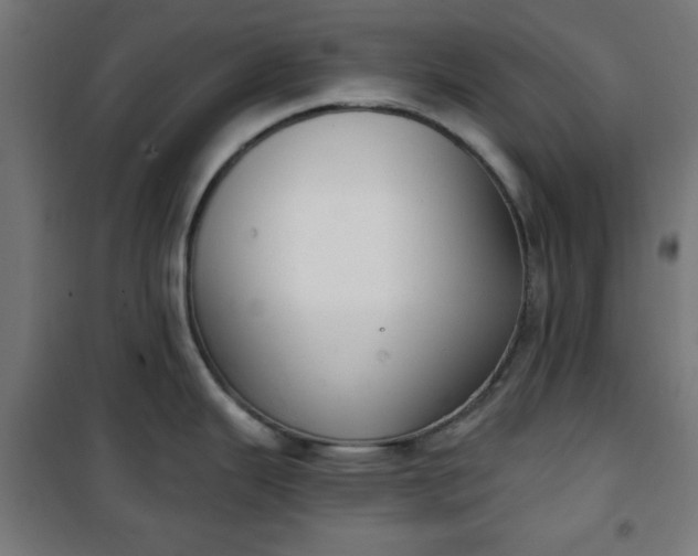 X0000100751343200807031327