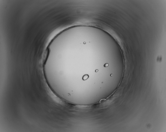 X0000100751344200807031327