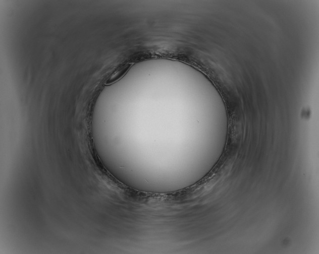 X0000100751345200807031326