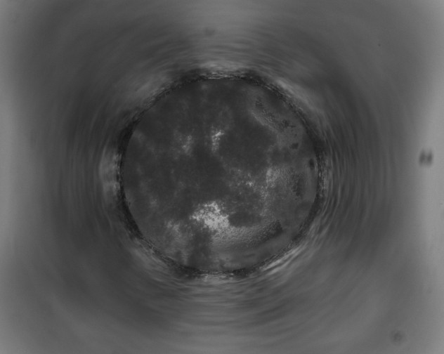 X0000100751346200807031326