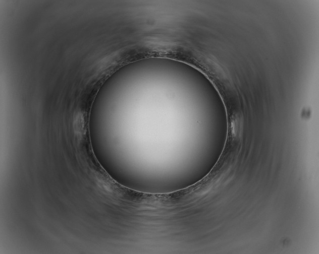 X0000100751347200807031326