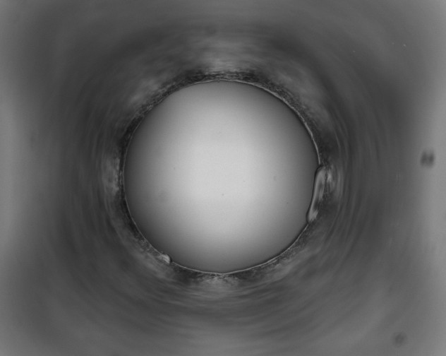 X0000100751348200807031326