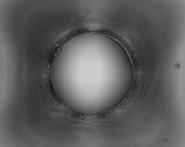 X0000100751349200807031326