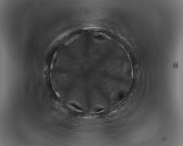 X0000100751351200807031326