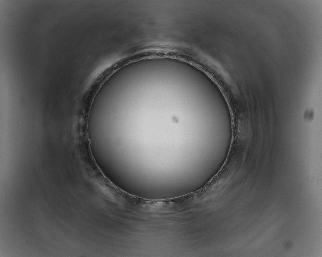 X0000100751352200807031326