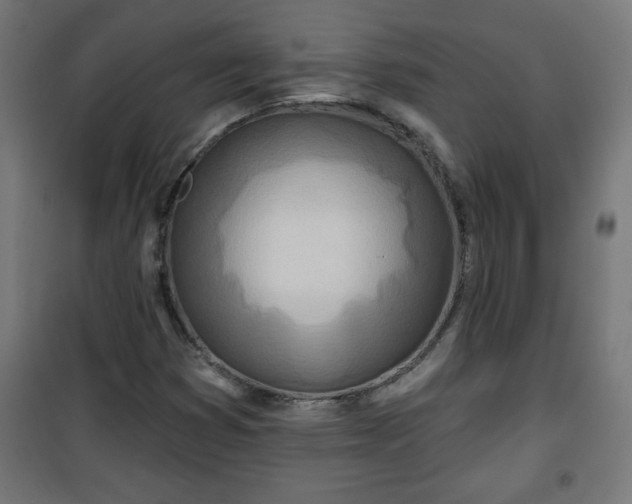 X0000100751353200807031326