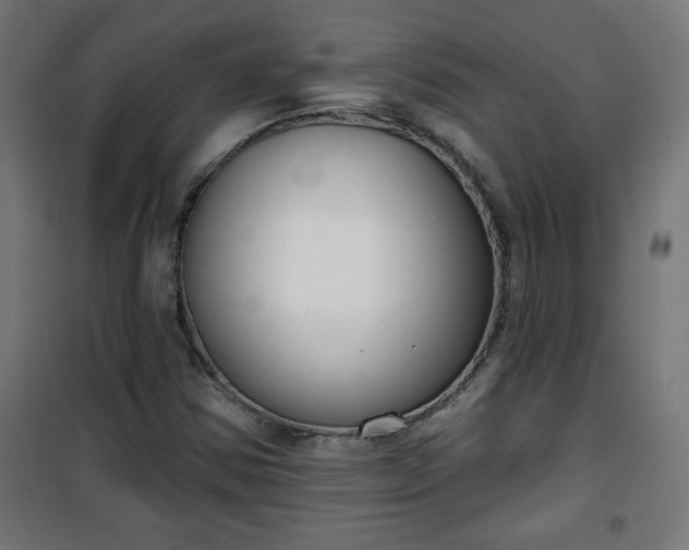 X0000100751354200807031326