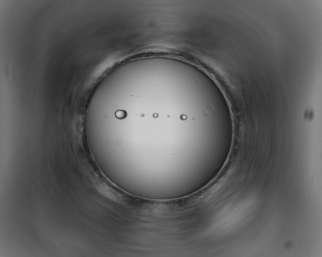 X0000100751355200807031326