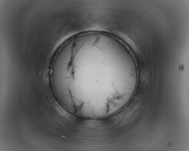 X0000100751356200807031326