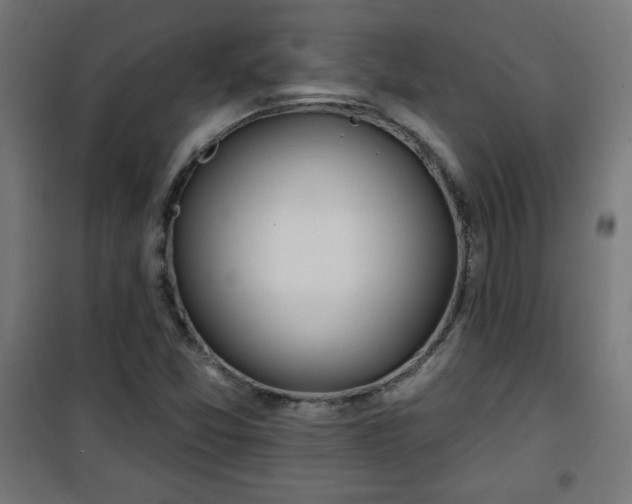 X0000100751357200807031326