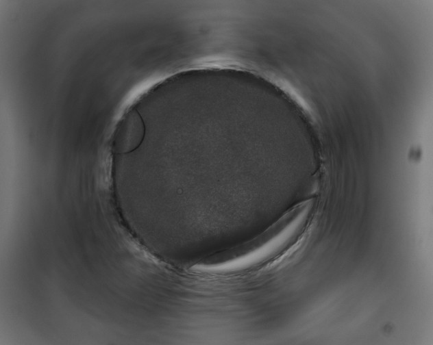 X0000100751358200807031326