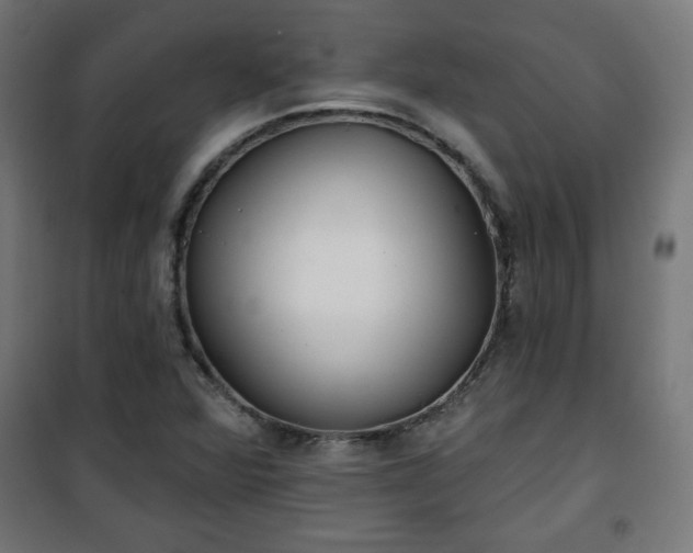 X0000100751360200807031326