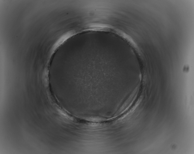 X0000100751362200807031326