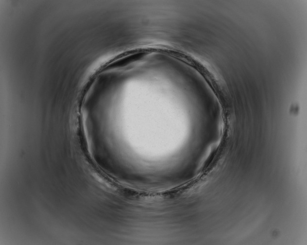 X0000100751363200807031326