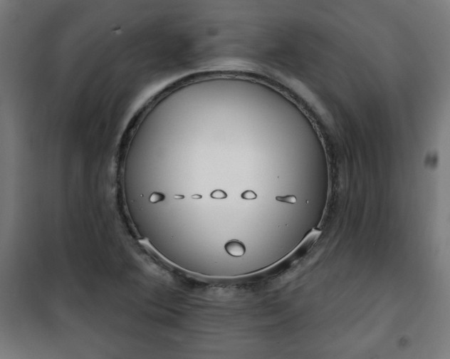 X0000100751364200807031326