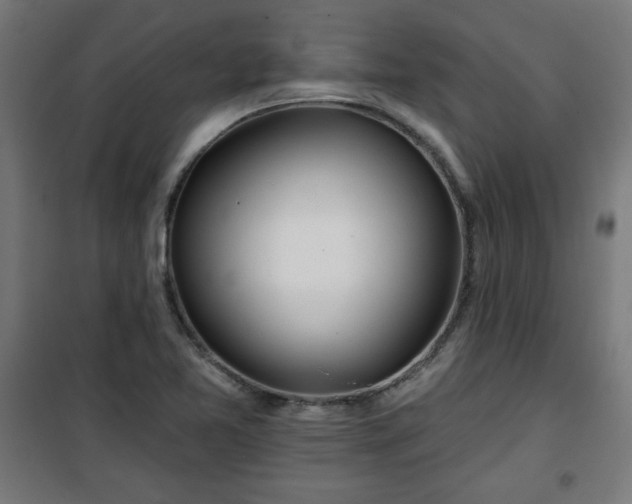 X0000100751365200807031326